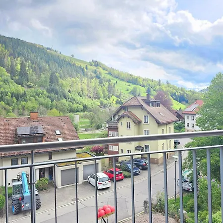 Black Forest Ii Sauna I Boxspring I Nespresso I Ausblick I Wasserfaelle Im Ort Apartment Todtnau